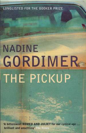 The Pickup de Nadine Gordimer