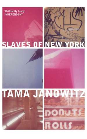 The Slaves of New York de Tama Janowitz