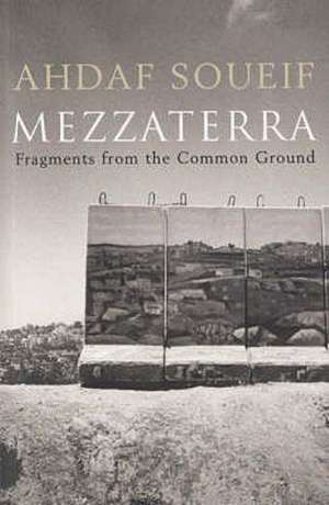 Mezzaterra: Fragments from the Common Ground de Ahdaf Soueif