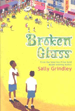 Broken Glass de Sally Grindley