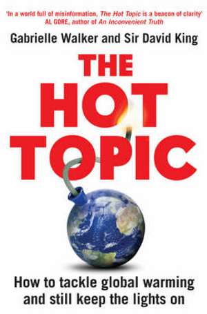 The Hot Topic: How to Tackle Global Warming and Still Keep the Lights On de David King