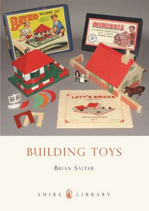 Building Toys de Brian Salter