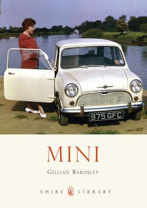 Mini de Gillian Bardsley