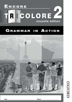 Encore Tricolore Nouvelle 2 Grammar in Action Pack (x8) de S Honnor