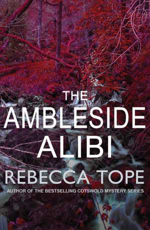 The Ambleside Alibi de Rebecca Tope