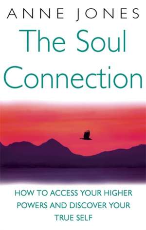 The Soul Connection de Anne Jones