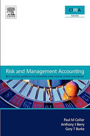 Risk and Management Accounting: Best Practice Guidelines for Enterprise-Wide Internal Control Procedures de Paul M. Collier