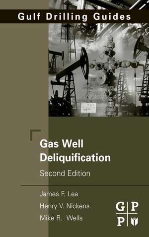 Gas Well Deliquification de James F. Lea Jr.