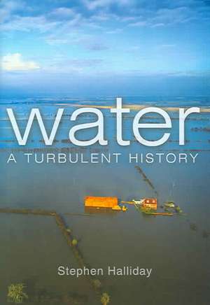 Water: A Turbulent History de Stephen Halliday