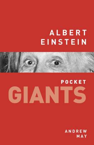 Albert Einstein: An Illustrated History of the Haematite Steel Company de Andrew May