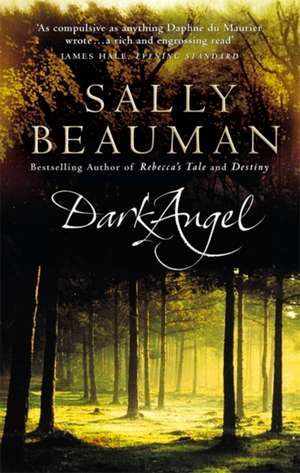 Dark Angel de Sally Beauman