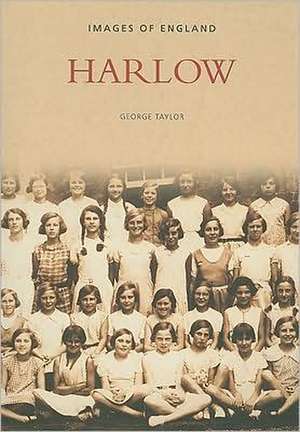 Harlow de George Taylor