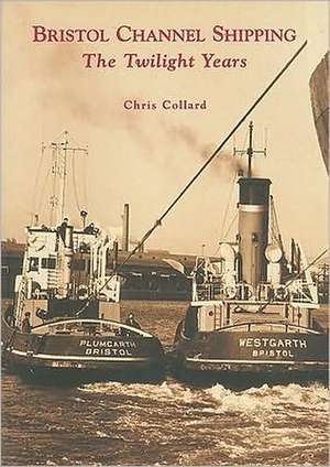 Bristol Channel Shipping: The Twilight Years