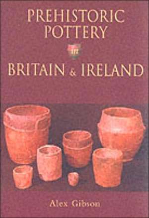 Prehistoric Pottery in Britain & Ireland: The Roman City of St Albans de Paul Gibson