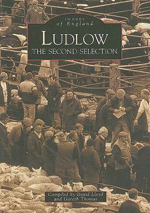 Ludlow: The Second Selection de David Lloyd