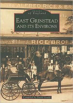 East Grinstead & it's Environs de David Gould