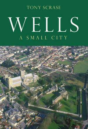 Wells de Anthony John Scrase