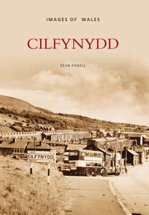 Cilfynydd de Anne Powell