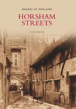 Horsham Streets de Sylvia Barlow