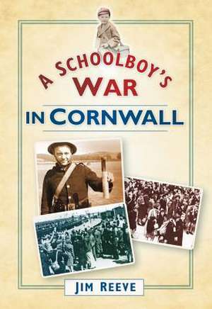 A Schoolboy's War in Cornwall de Reeve