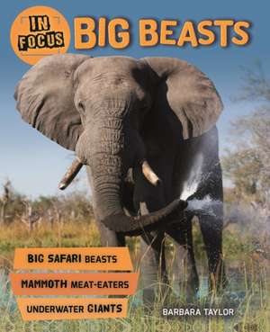 Taylor, B: In Focus: Big Beasts de Barbara Taylor