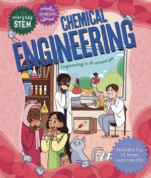 Everyday Stem Engineering--Chemical Engineering de Jenny Jacoby