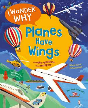 I Wonder Why Planes Have Wings de Chris Maynard