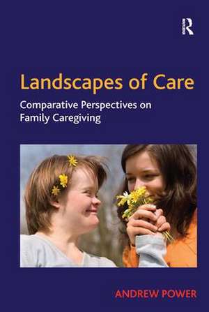 Landscapes of Care: Comparative Perspectives on Family Caregiving de Andrew Power