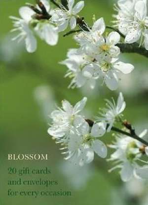 Blossom Large Card Box de Anness Publishing