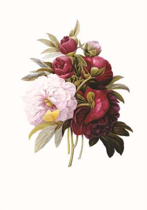 Redoute Peony de Peony Press