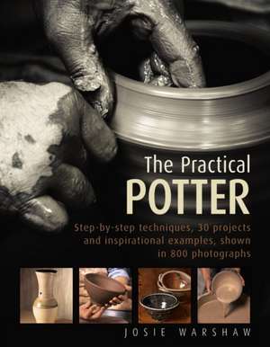 The Practical Potter de Josie Warshaw