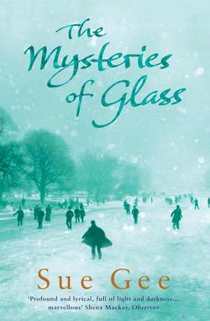 The Mysteries of Glass de Sue Gee