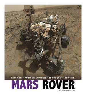 Mars Rover de Danielle Smith-Llera