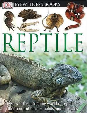 Reptile de Colin McCarthy