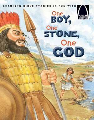 One Boy, One Stone, One God de Michelle Medlock Adams