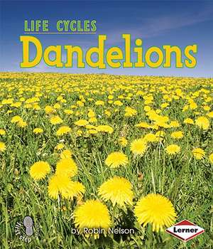 Dandelions de Robin Nelson