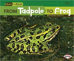 From Tadpole to Frog de Shannon Zemlicka