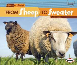 From Sheep to Sweater de Robin Nelson