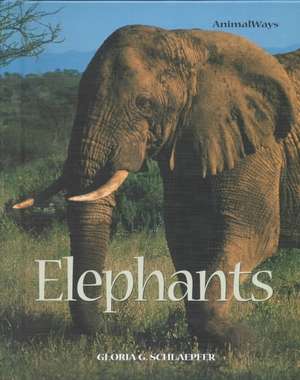 Elephants de Gloria G. Schlaepfer