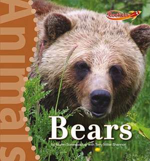 Bears de Martin Schwabacher