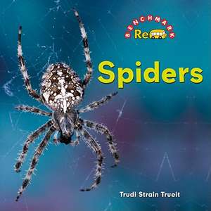 Spiders de Trudi Strain Trueit