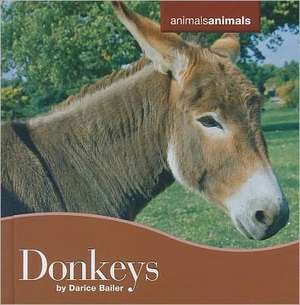 Donkeys de Darice Bailer