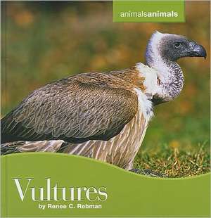 Vultures de Renee C. Rebman