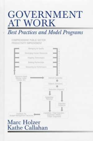 Government at Work: Best Practices and Model Programs de Marc Holzer
