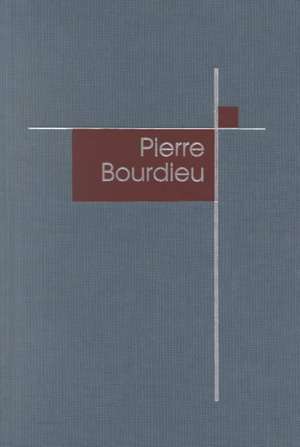 Pierre Bourdieu de Derek Robbins