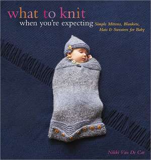 What to Knit When You're Expecting: Simple Mittens, Blankets, Hats & Sweaters for Baby de Nikki Van De Car