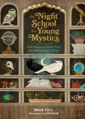 The Night School for Young Mystics de Maia Toll