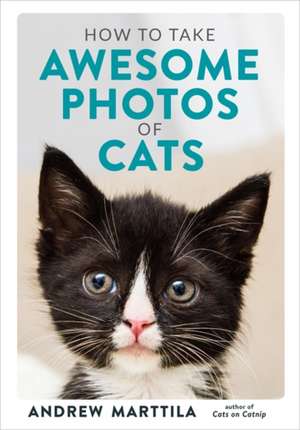 How to Take Awesome Photos of Cats de Andrew Marttila