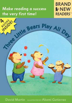 Three Little Bears Play All Day de DAVID MARTIN