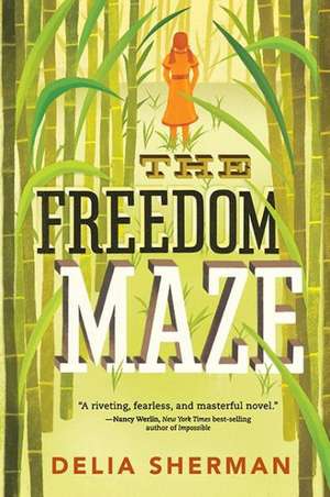 The Freedom Maze de Delia Sherman